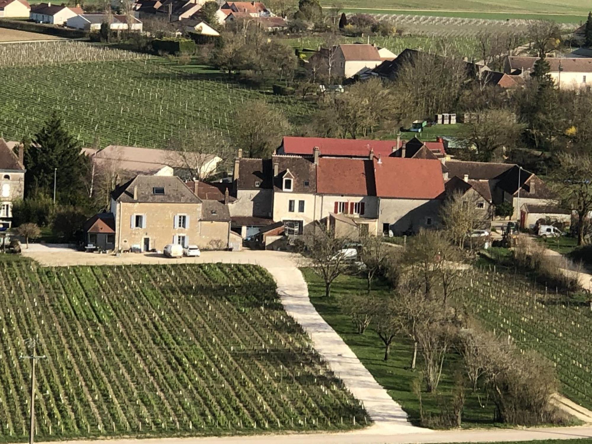 Maison De Pauline, Chablis Vineyard Prehy Екстер'єр фото